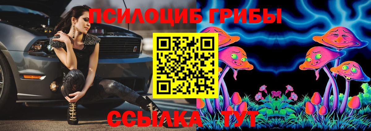 Галлюциногенные грибы ЛСД  Псилоцибиновые грибы Magic Shrooms  Вход с VPN  цена   Абинск 