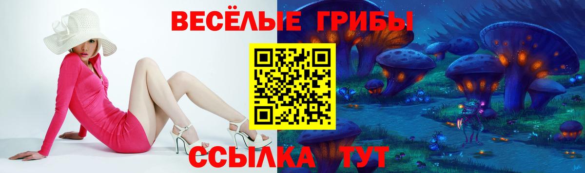 Псилоцибиновые грибы прущие грибы Абинск